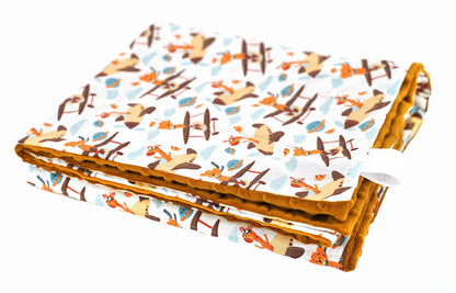 Pasunkinta antklodė - lėktuvai