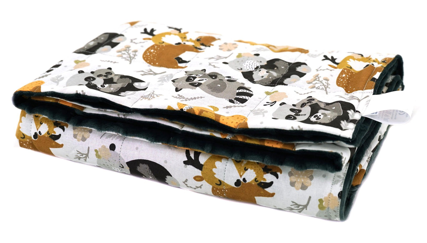 Pasunkinta antklodė - miško šeima