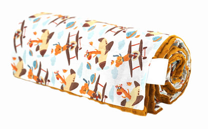 Pasunkinta antklodė - lėktuvai